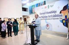 From Steady Exchanges to a Dynamic Partnership:  China-Pakis