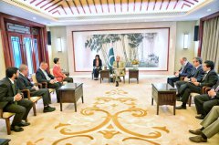 PM Shehbaz Meets Chinese Executives to Promote Investment in